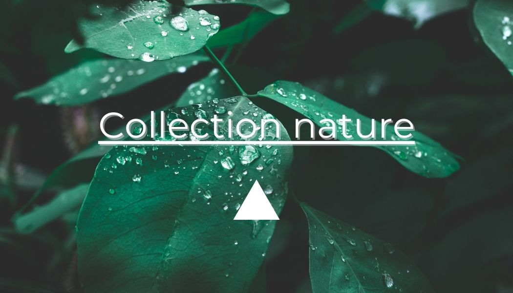 collection objets nature