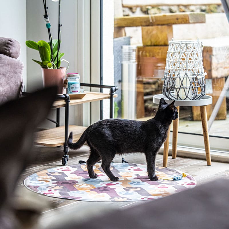 tapis transportable pour animaux